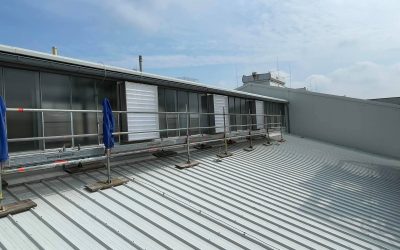 Sanierung RWA und Lüftungsanlage mit Vogelschutzgitter